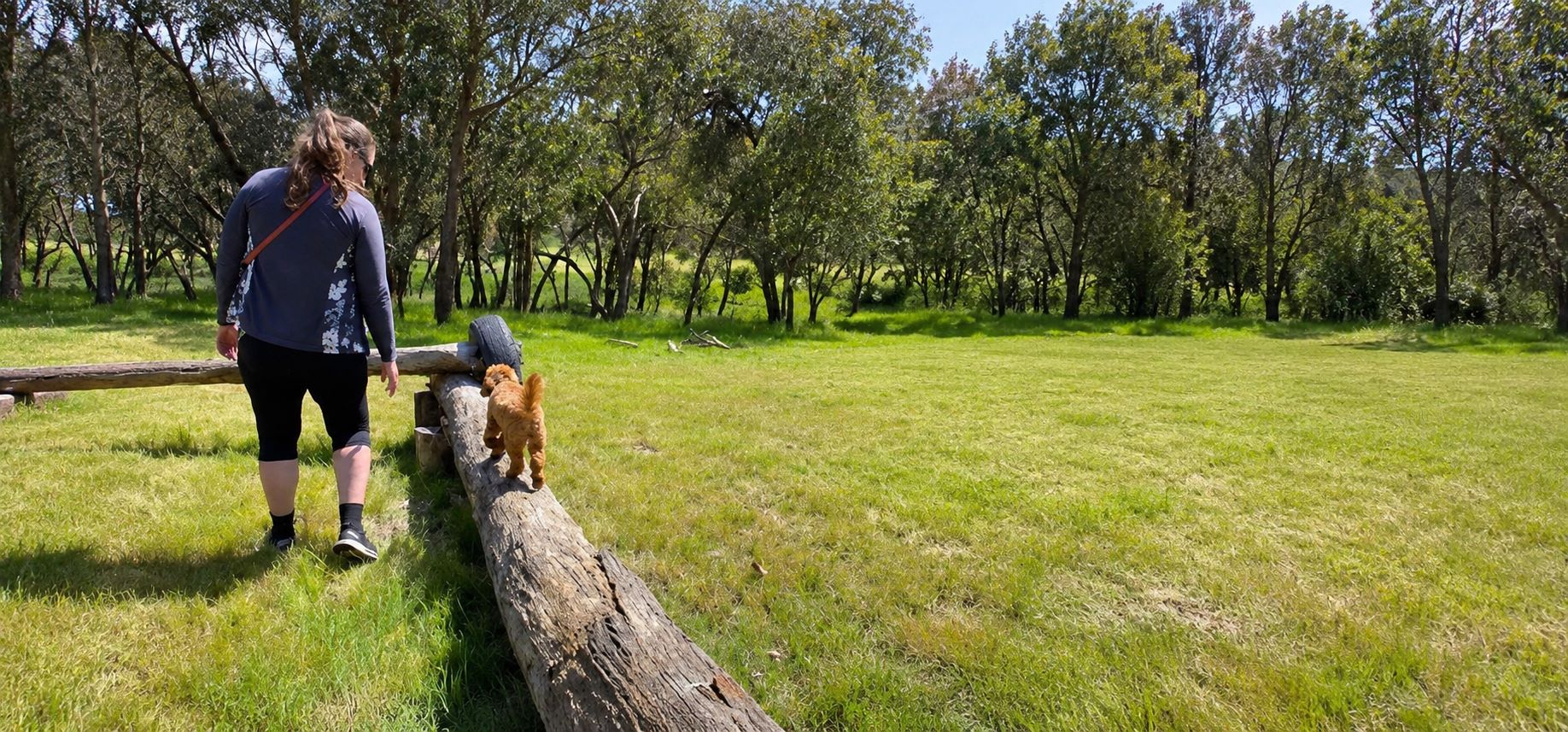 Dog Park Etiquette: How to Safely Socialise Your Dog Off-Leash